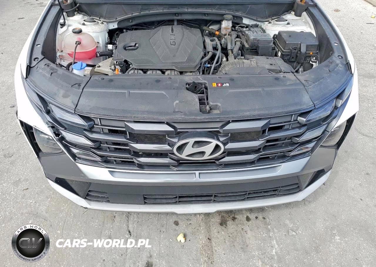 2025 Hyundai Tucson Sel VIN:5NMJC3DE8SH489348 - 12