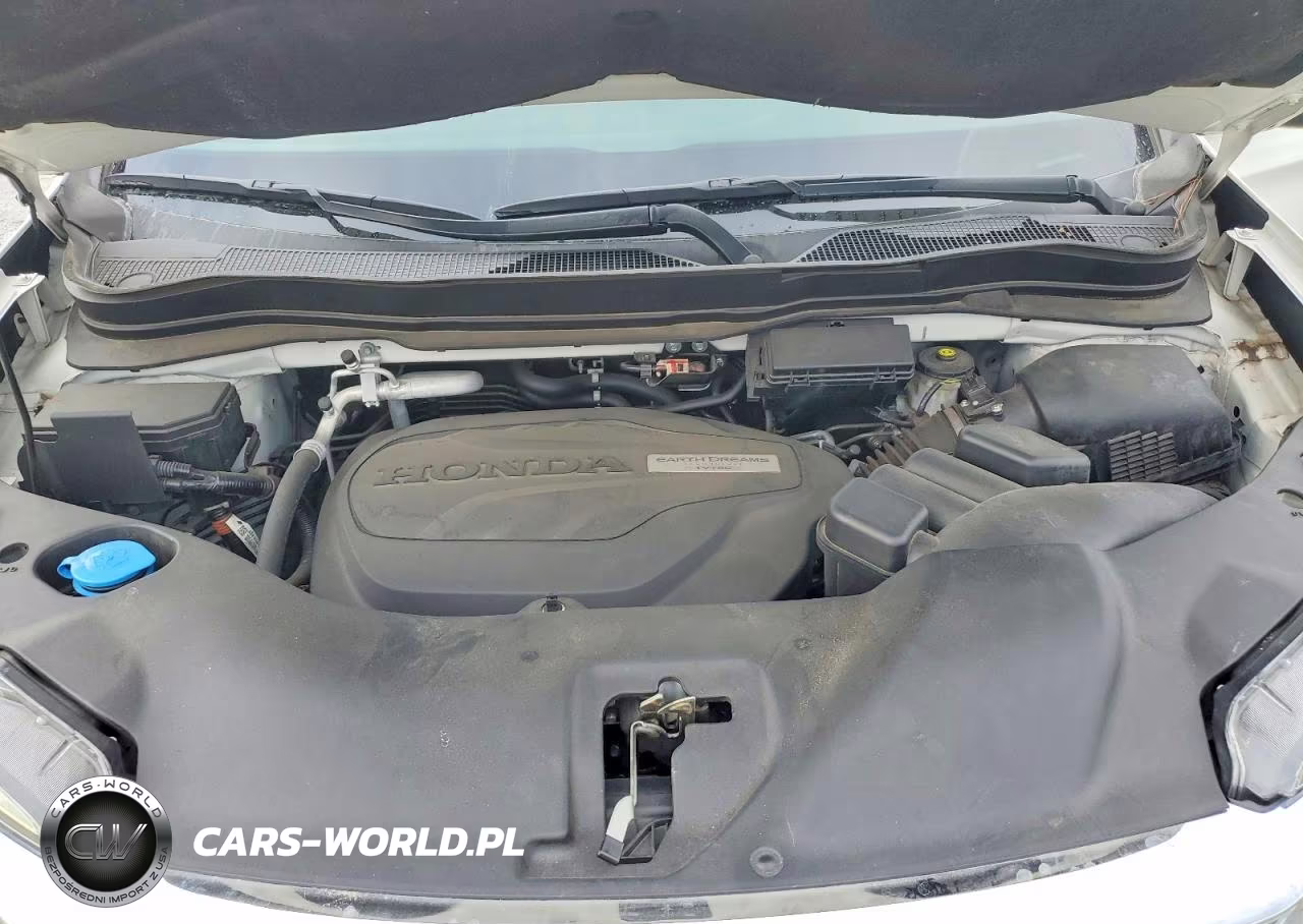 2019 Honda Pilot Exl VIN:5FNYF5H47KB009689 - 12