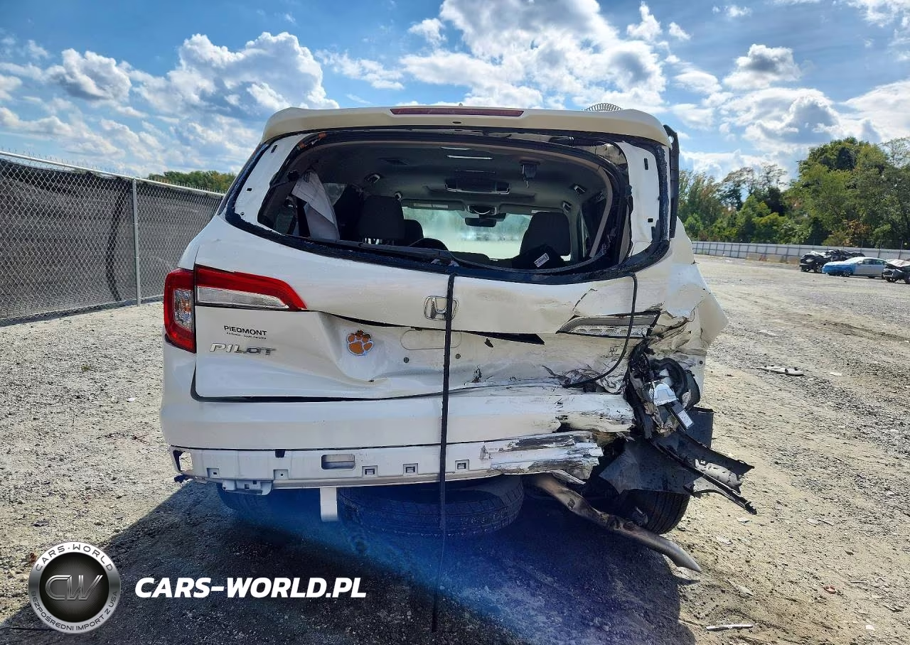2019 Honda Pilot Exl VIN:5FNYF5H47KB009689 - 6