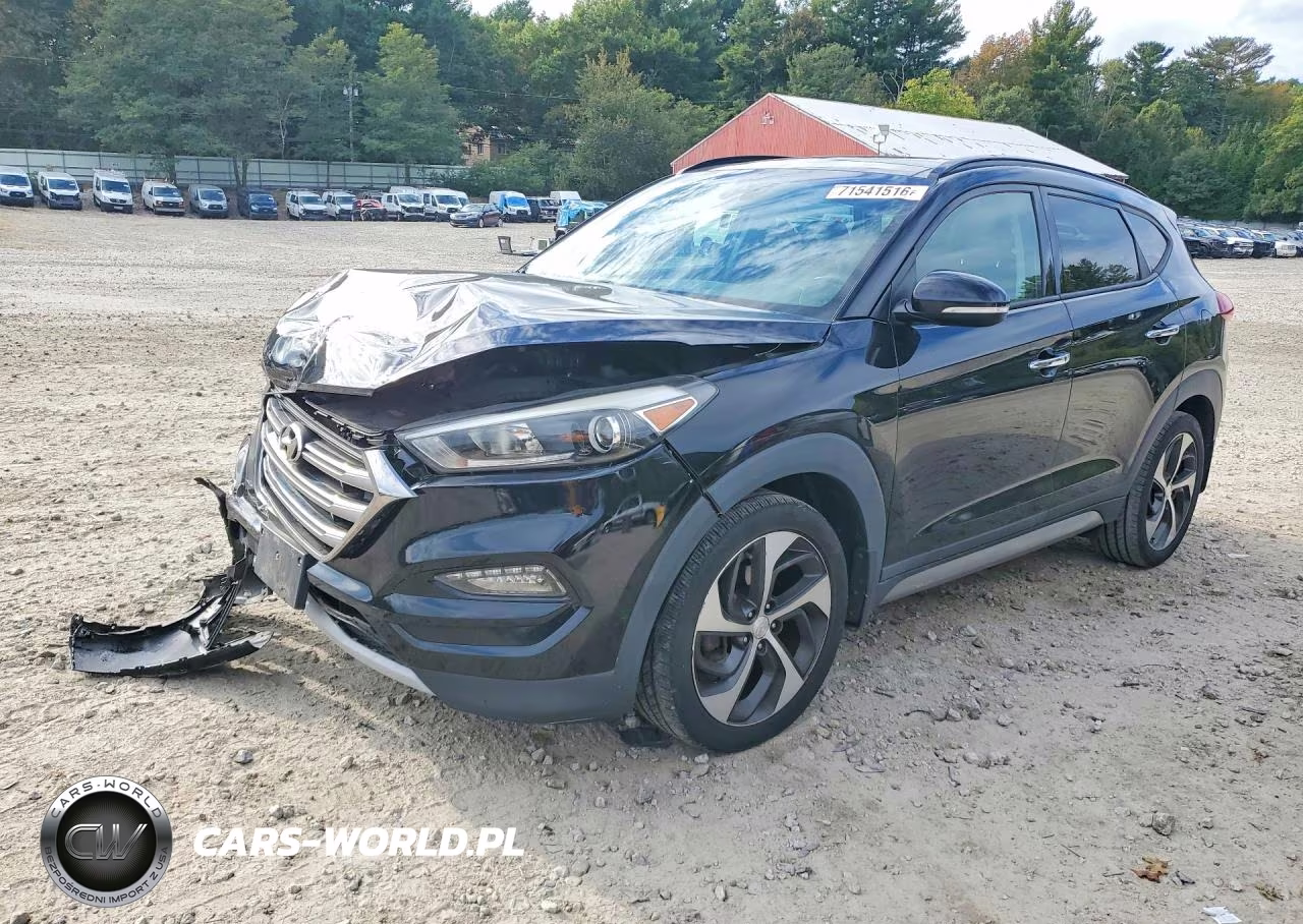 2017 Hyundai Tucson Limited VIN:KM8J3CA26HU293318 - 1