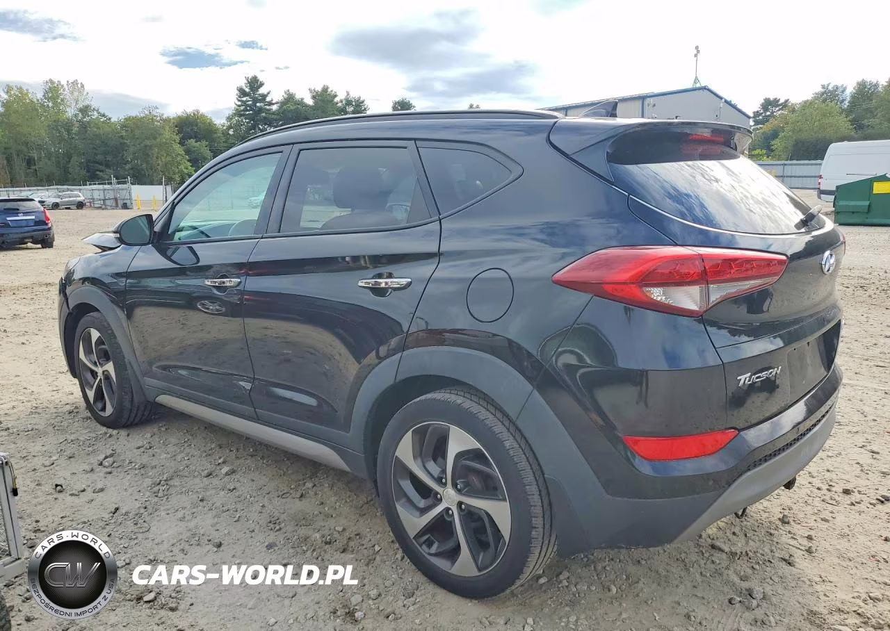 2017 Hyundai Tucson Limited VIN:KM8J3CA26HU293318 - 2