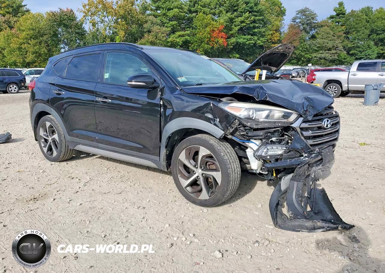 2017 Hyundai Tucson Limited VIN:KM8J3CA26HU293318 - 4