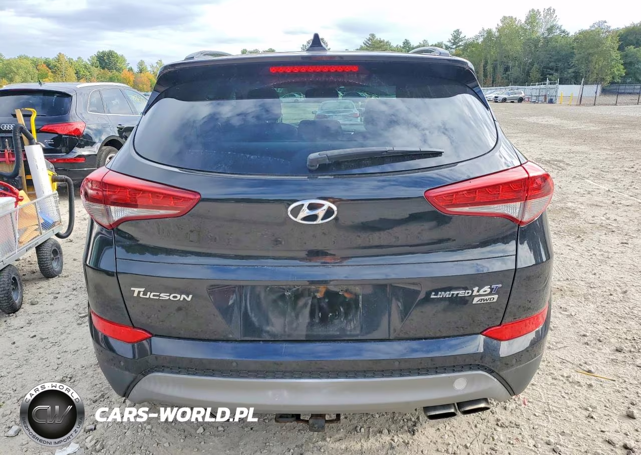2017 Hyundai Tucson Limited VIN:KM8J3CA26HU293318 - 6