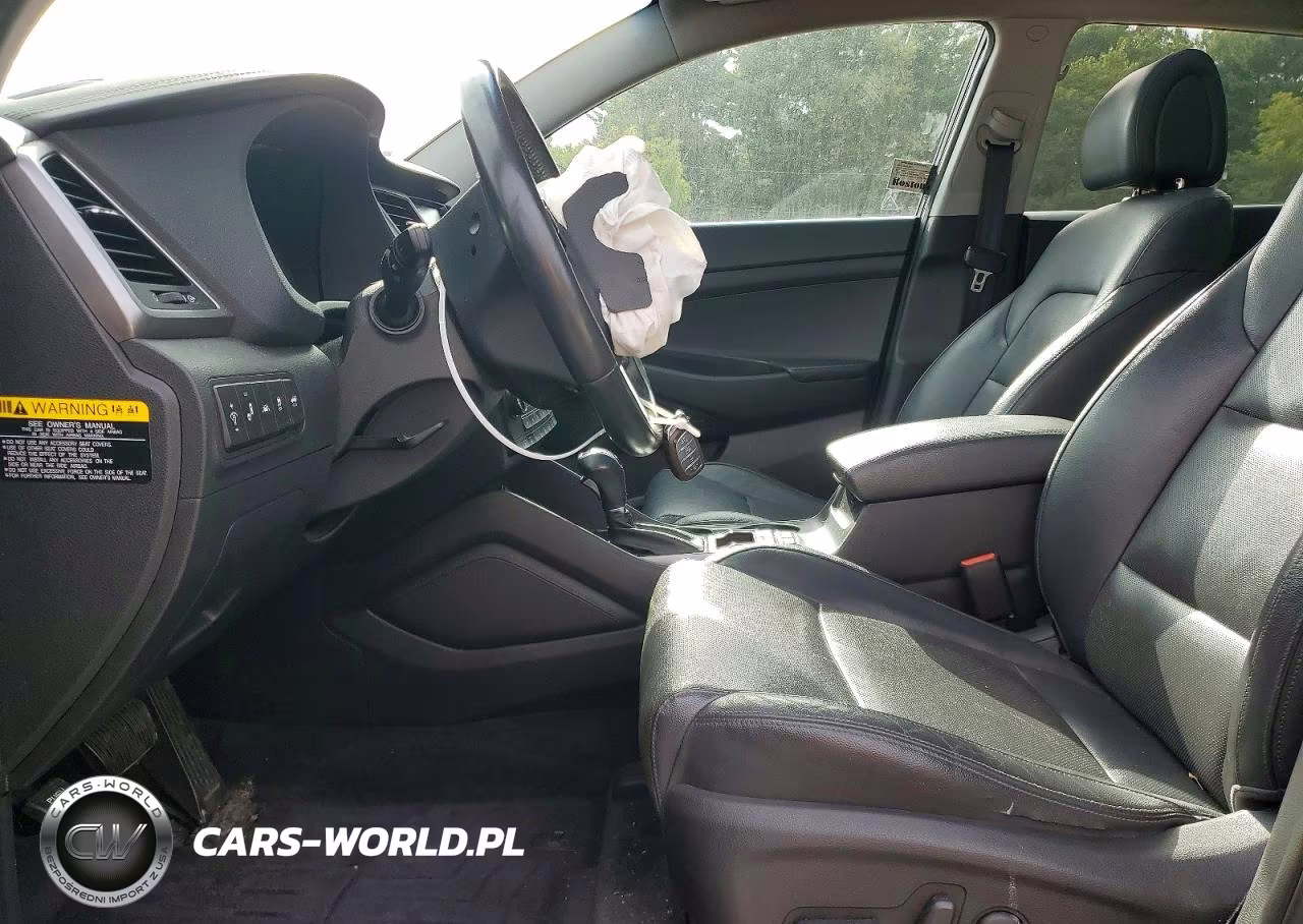 2017 Hyundai Tucson Limited VIN:KM8J3CA26HU293318 - 7