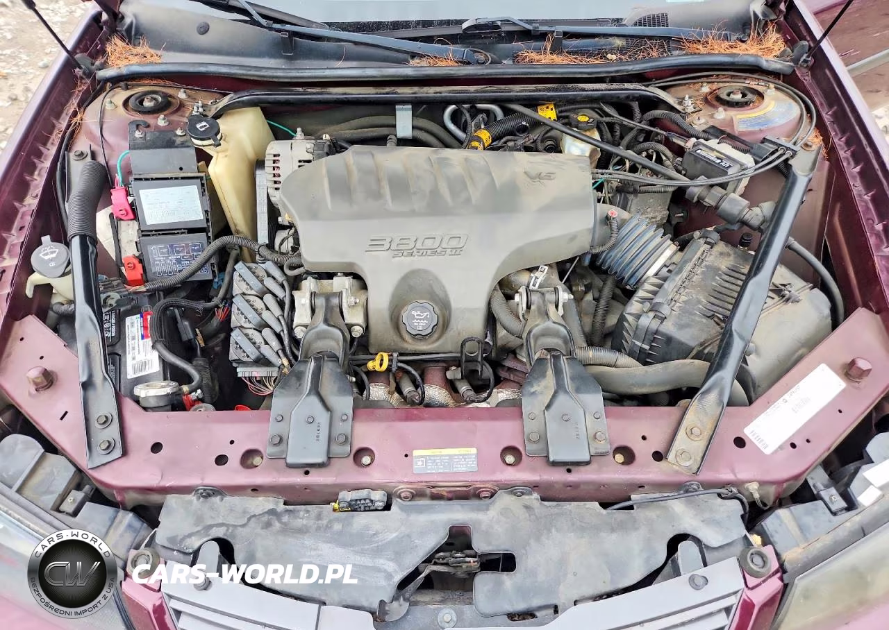 2003 Chevrolet Impala Ls VIN:2G1WH52K839213201 - 11