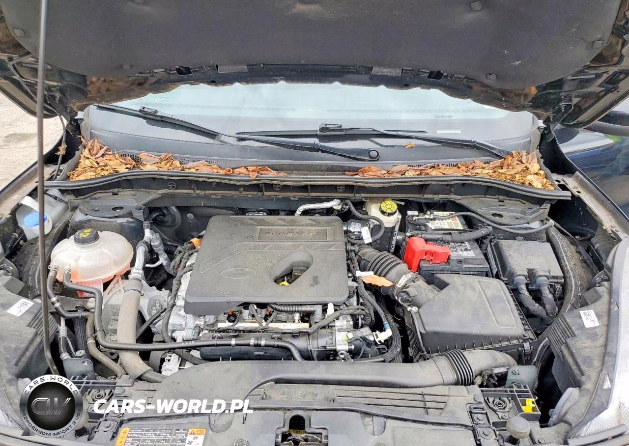 2020 Ford Escape Sel VIN:1FMCU9H61LUA65558 - 12