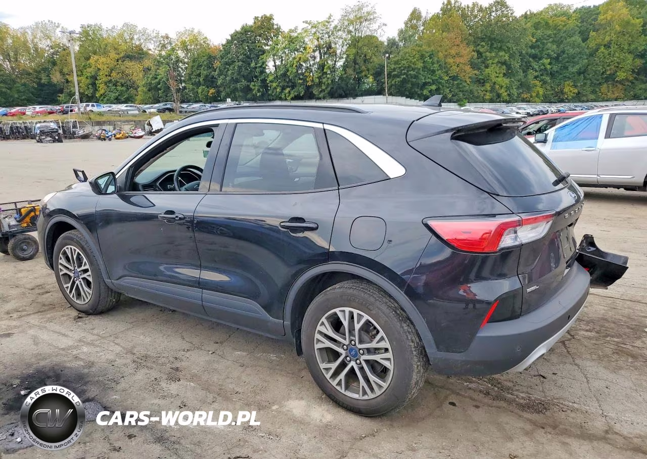2020 Ford Escape Sel VIN:1FMCU9H61LUA65558 - 2