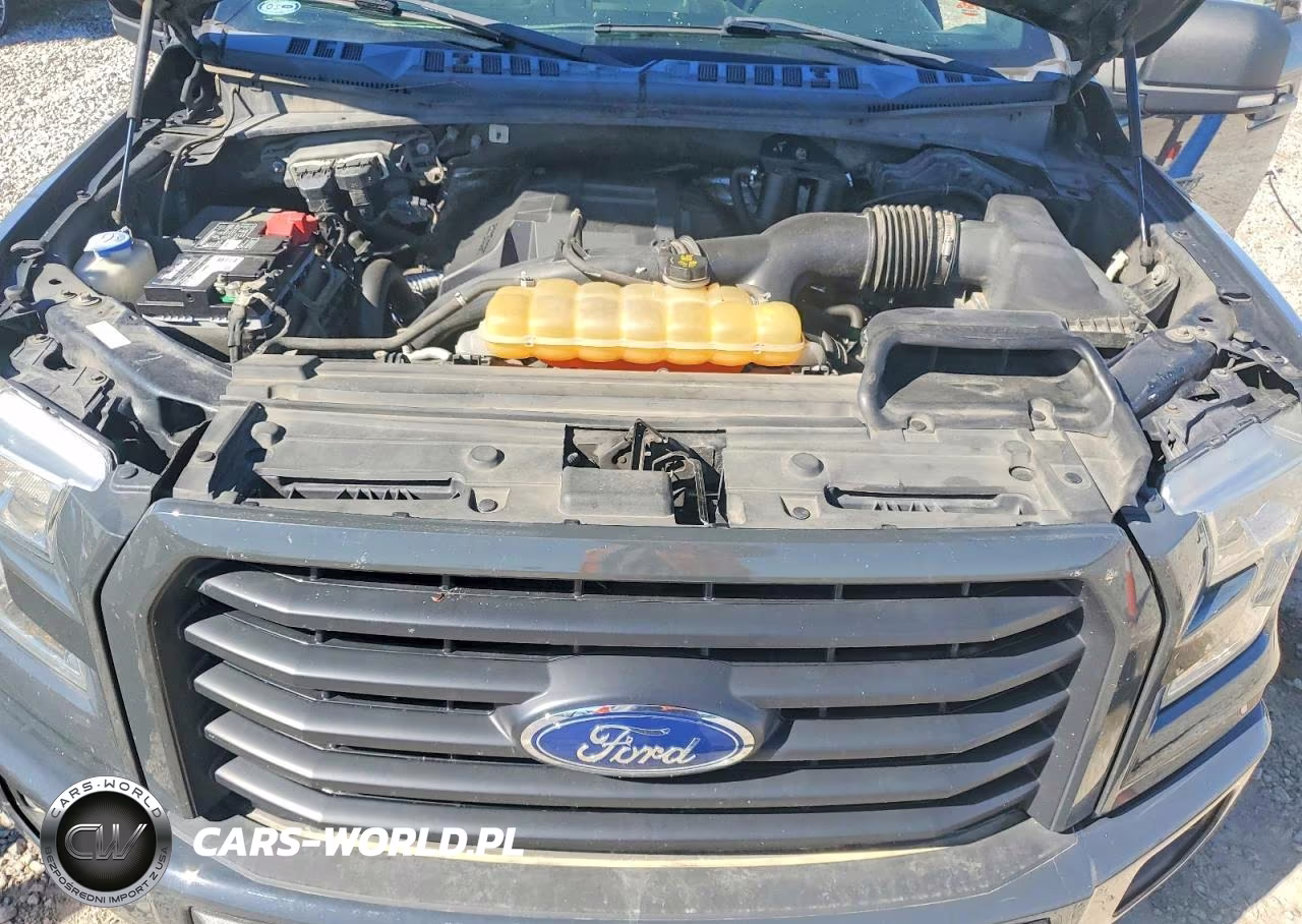 2016 Ford F150 Supercrew VIN:1FTEW1EP1GKF93382 - 11