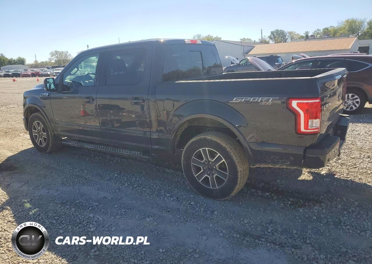 2016 Ford F150 Supercrew VIN:1FTEW1EP1GKF93382 - 2