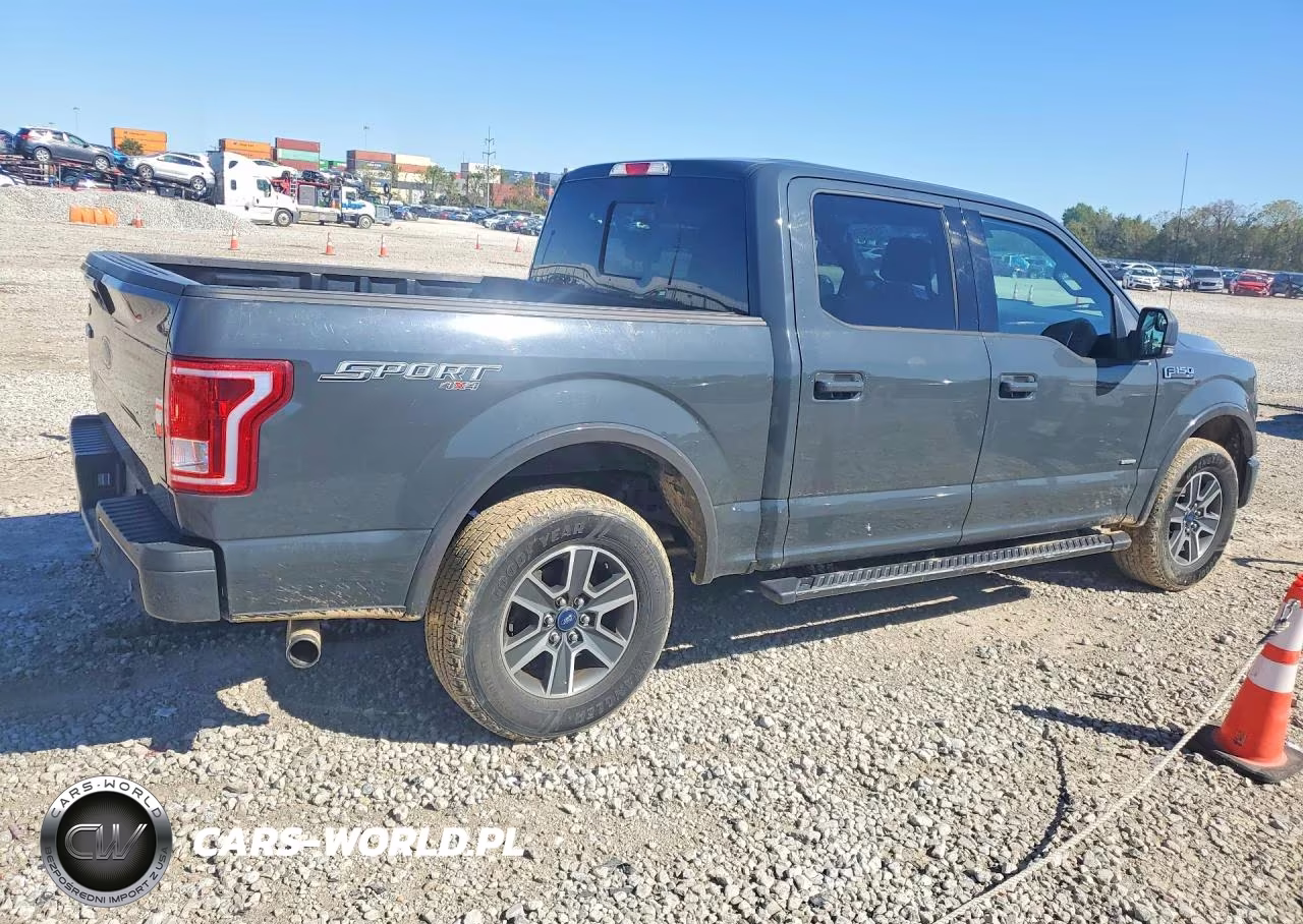2016 Ford F150 Supercrew VIN:1FTEW1EP1GKF93382 - 3