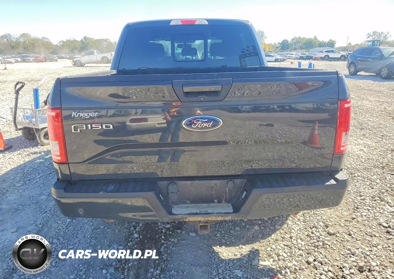 2016 Ford F150 Supercrew VIN:1FTEW1EP1GKF93382 - 6