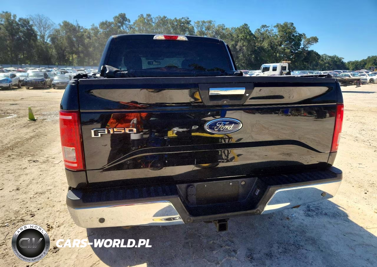 2017 Ford F150 Supercrew VIN:1FTEW1EGXHKC34811 - 6