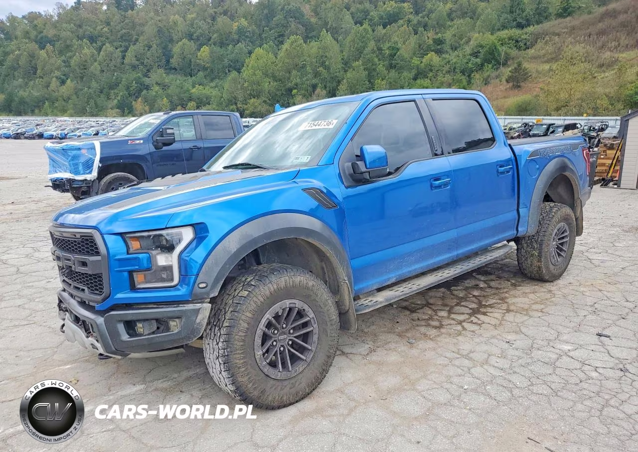 2019 Ford F150 Raptor VIN:1FTFW1RG2KFA11046 - 1