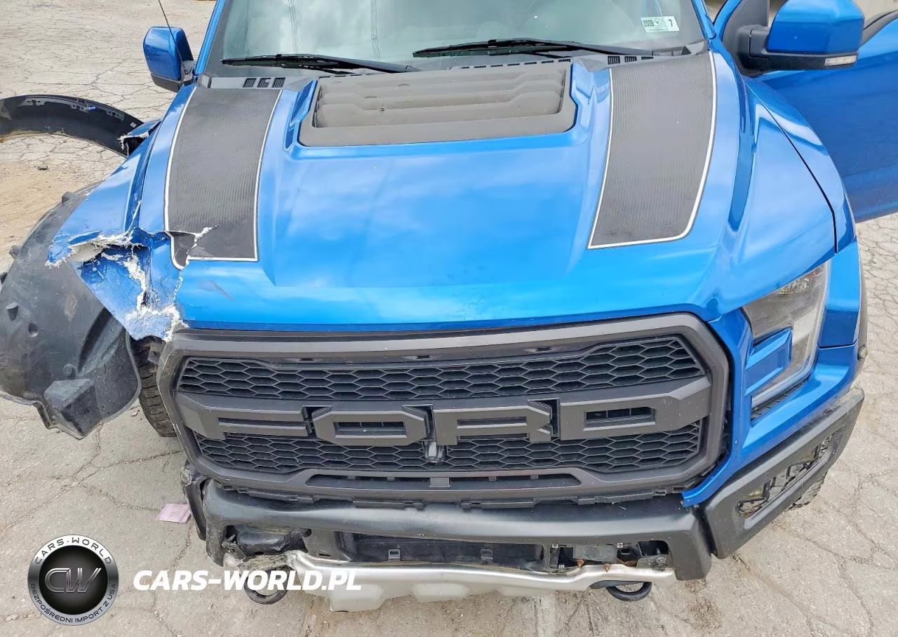 2019 Ford F150 Raptor VIN:1FTFW1RG2KFA11046 - 11