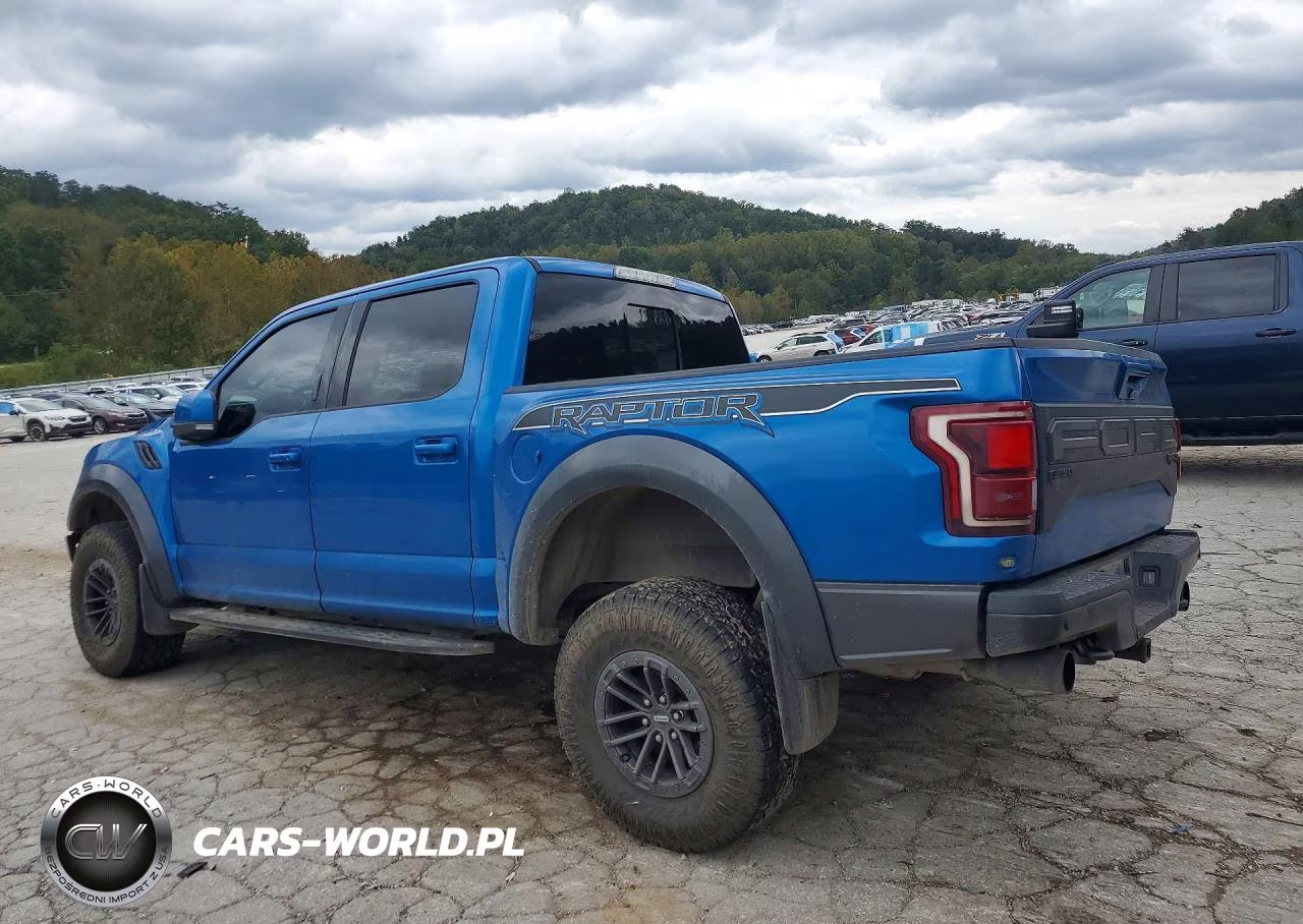 2019 Ford F150 Raptor VIN:1FTFW1RG2KFA11046 - 2