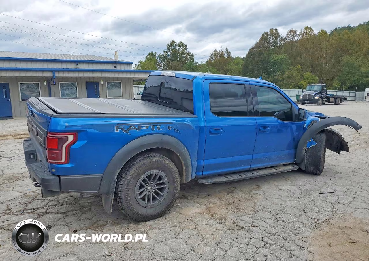 2019 Ford F150 Raptor VIN:1FTFW1RG2KFA11046 - 3