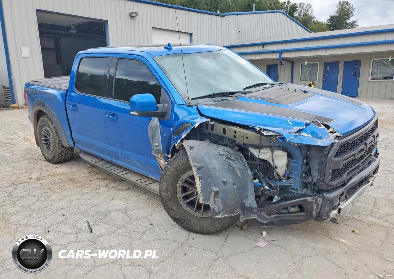 2019 Ford F150 Raptor VIN:1FTFW1RG2KFA11046 - 4