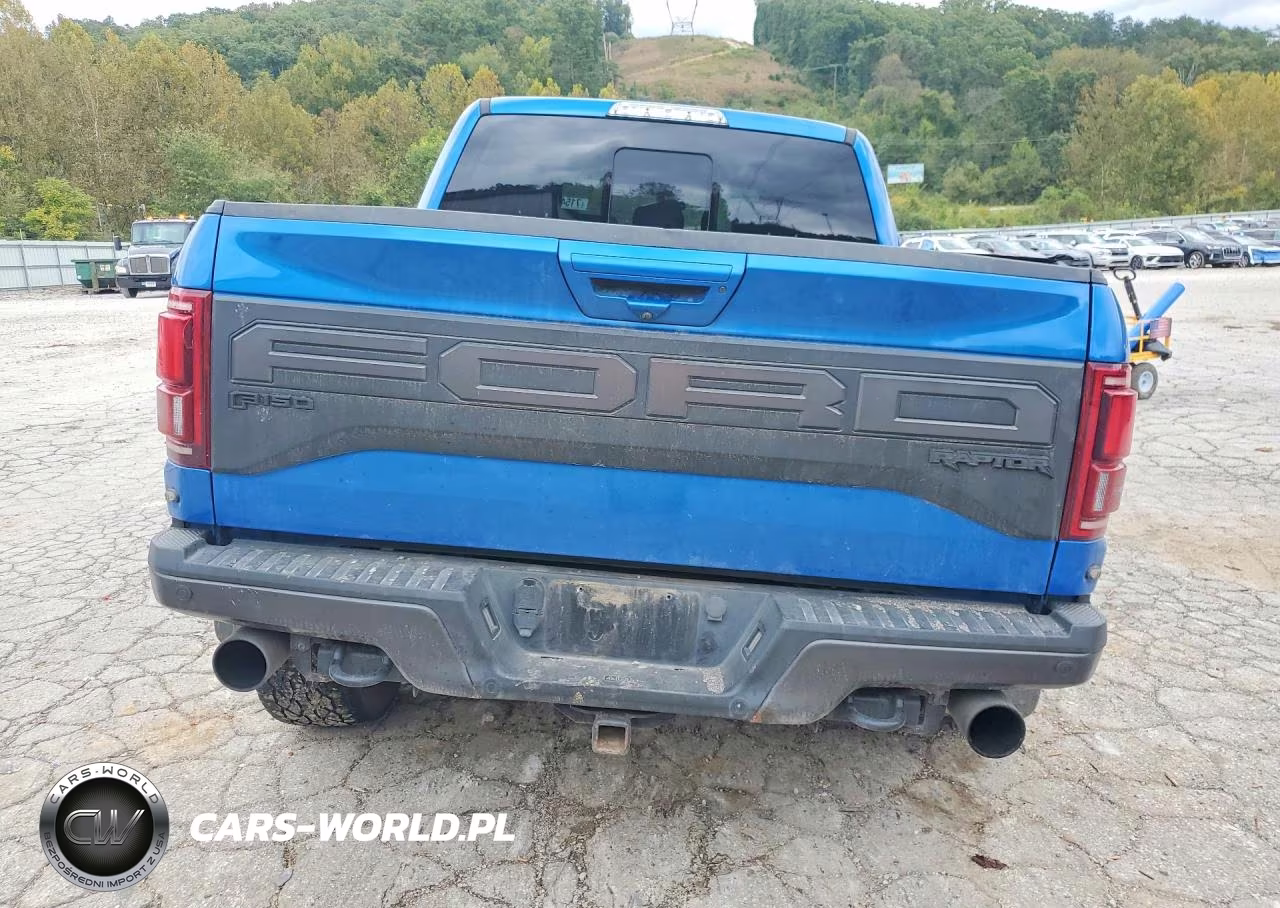 2019 Ford F150 Raptor VIN:1FTFW1RG2KFA11046 - 6
