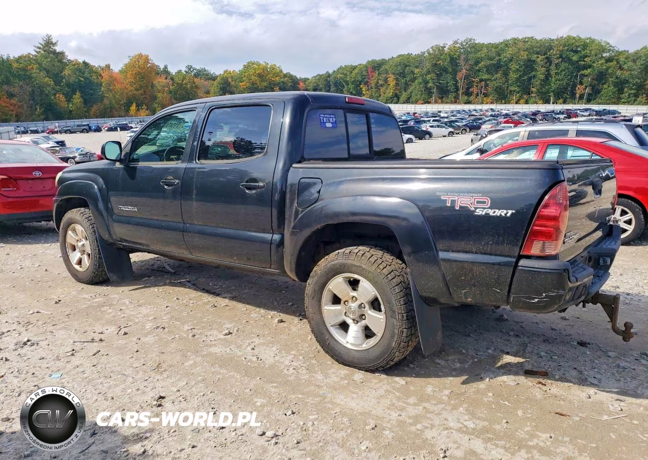 2008 Toyota Tacoma VIN:5TELU42N78Z584572 - 2