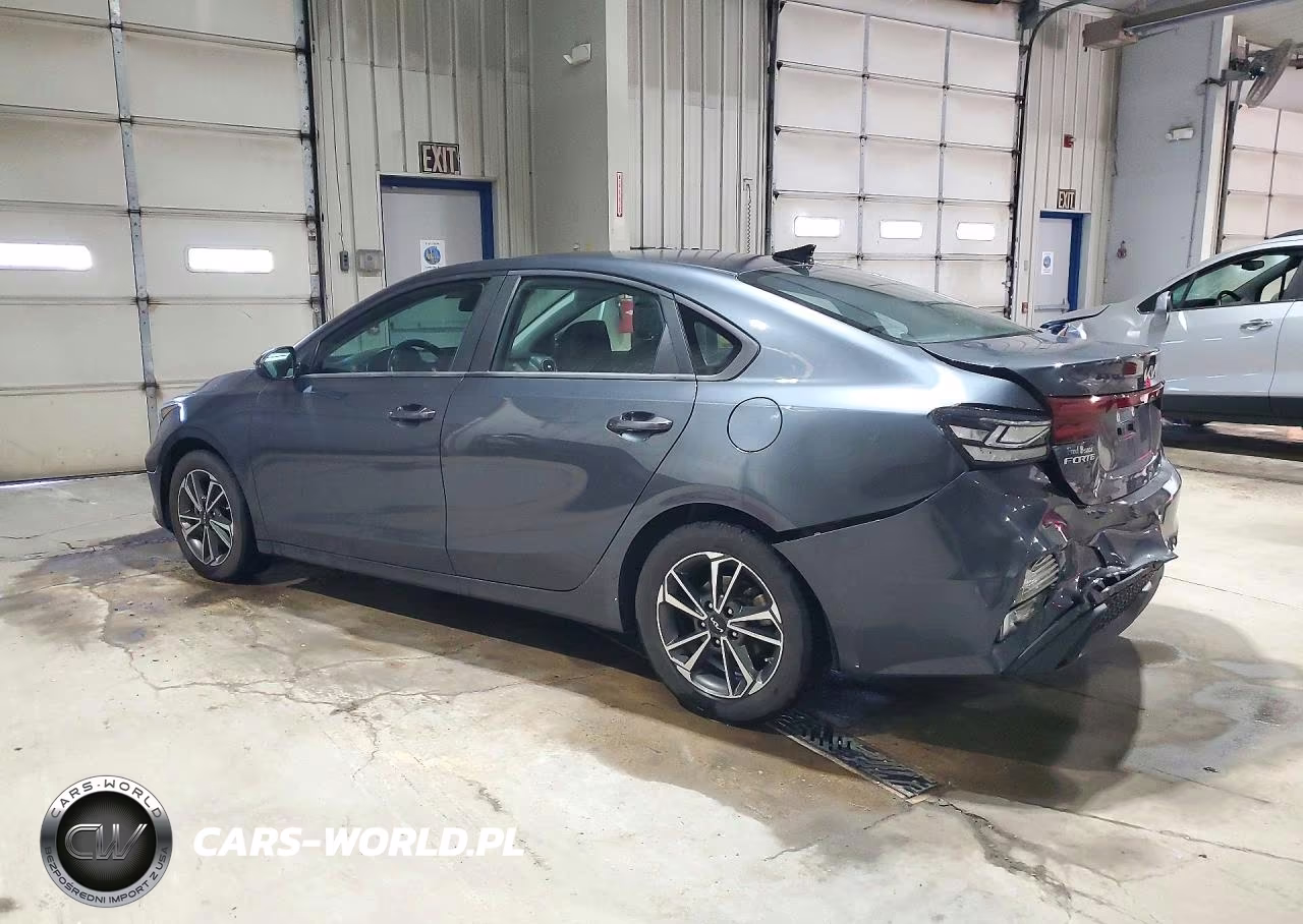 2022 Kia Forte Lxs VIN:3KPF24AD8NE471289 - 2