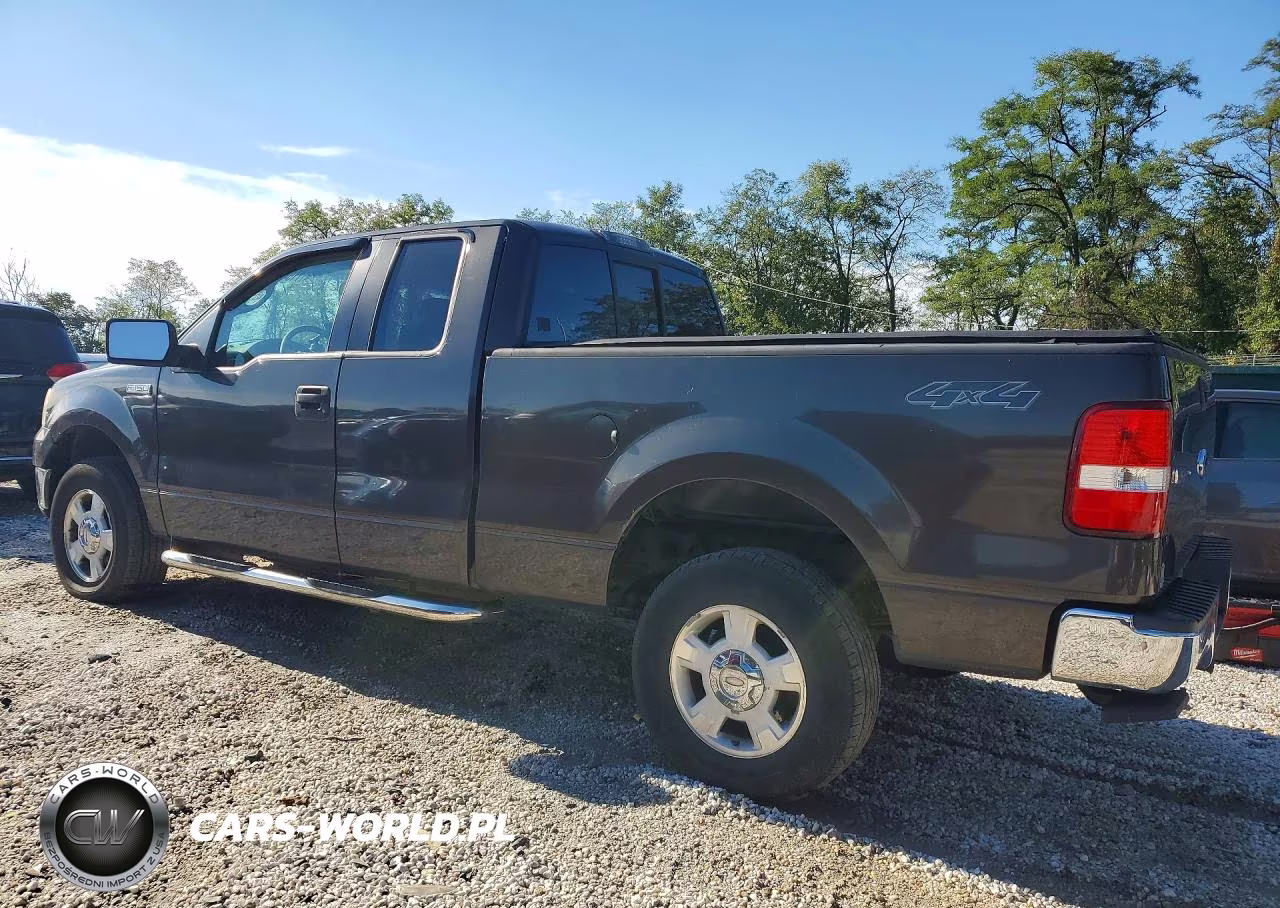 2006 Ford F150 VIN:1FTRX14W06NA71797 - 2