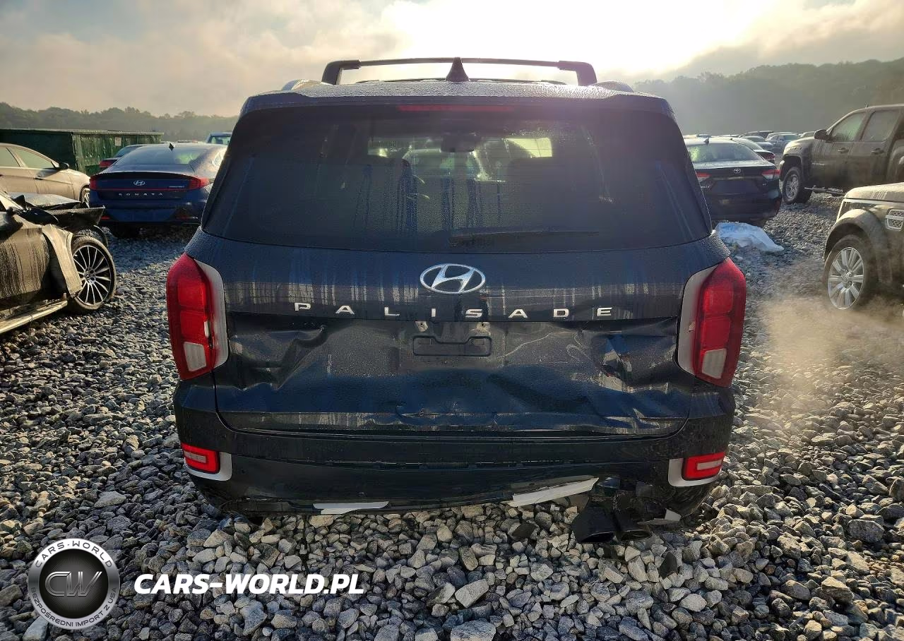 2021 Hyundai Palisade Limited VIN:KM8R54HE7MU198702 - 6