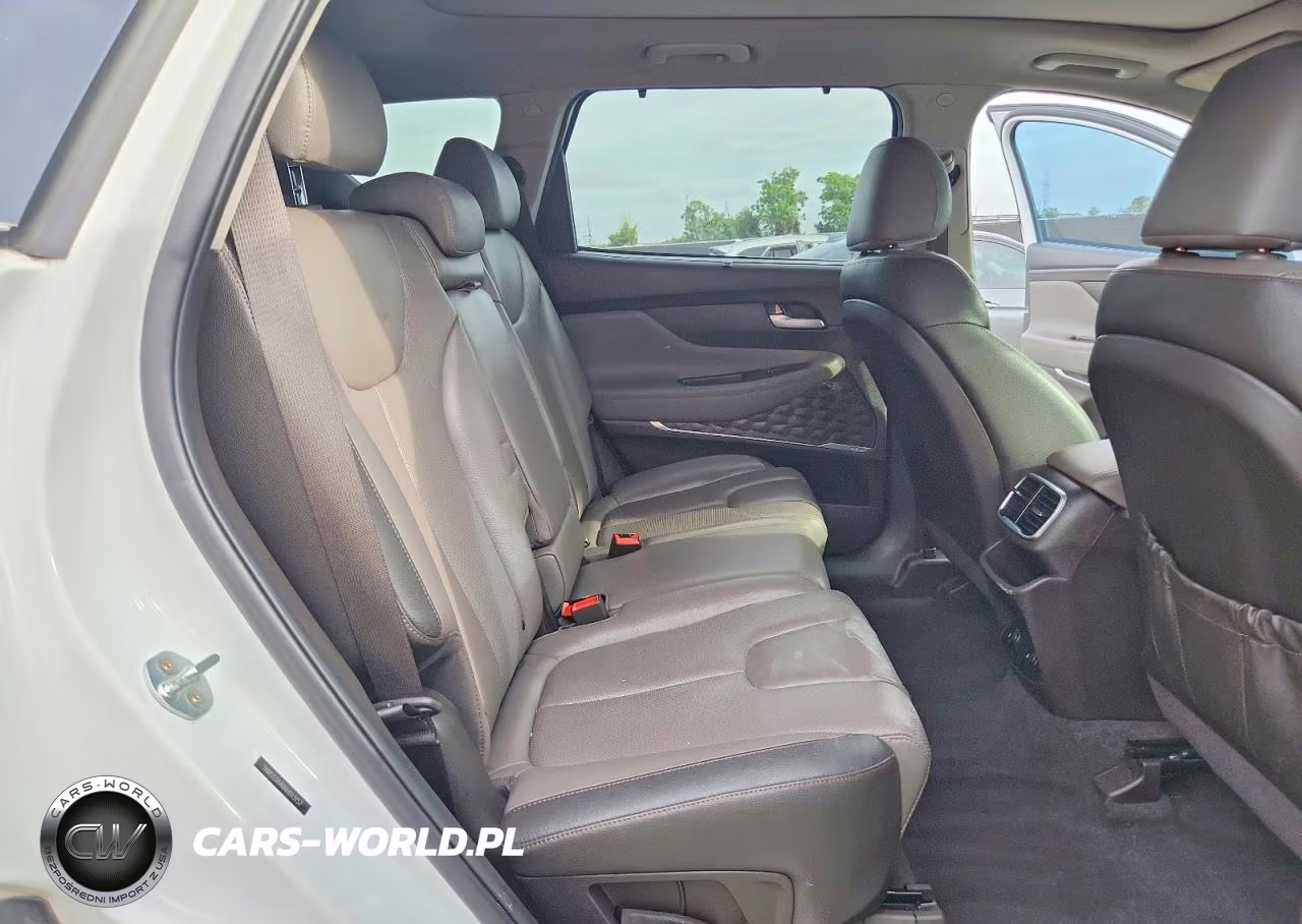 2019 Hyundai Santa Fe Limited 2.0T VIN:5NMS53AA0KH013157 - 11