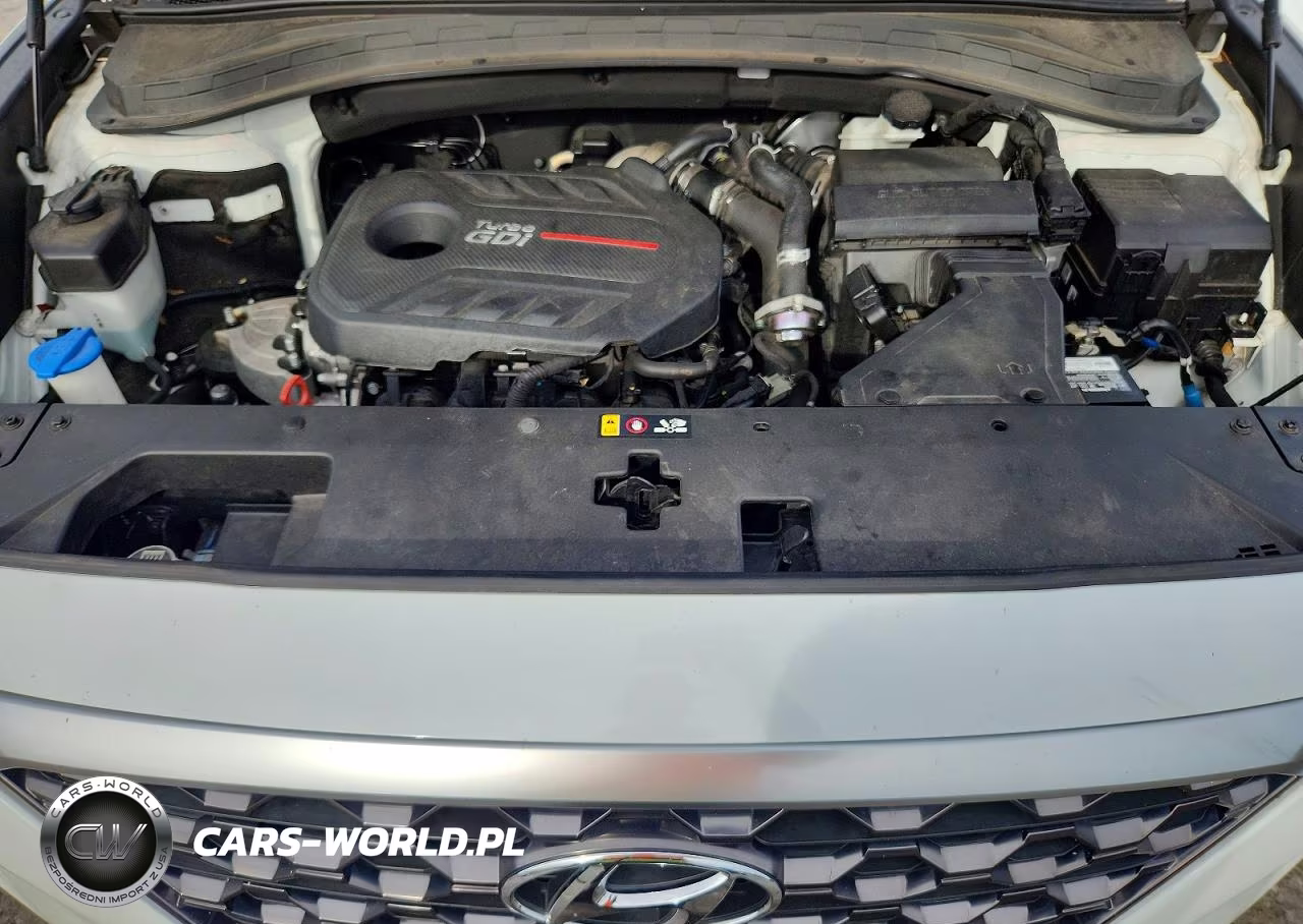 2019 Hyundai Santa Fe Limited 2.0T VIN:5NMS53AA0KH013157 - 12