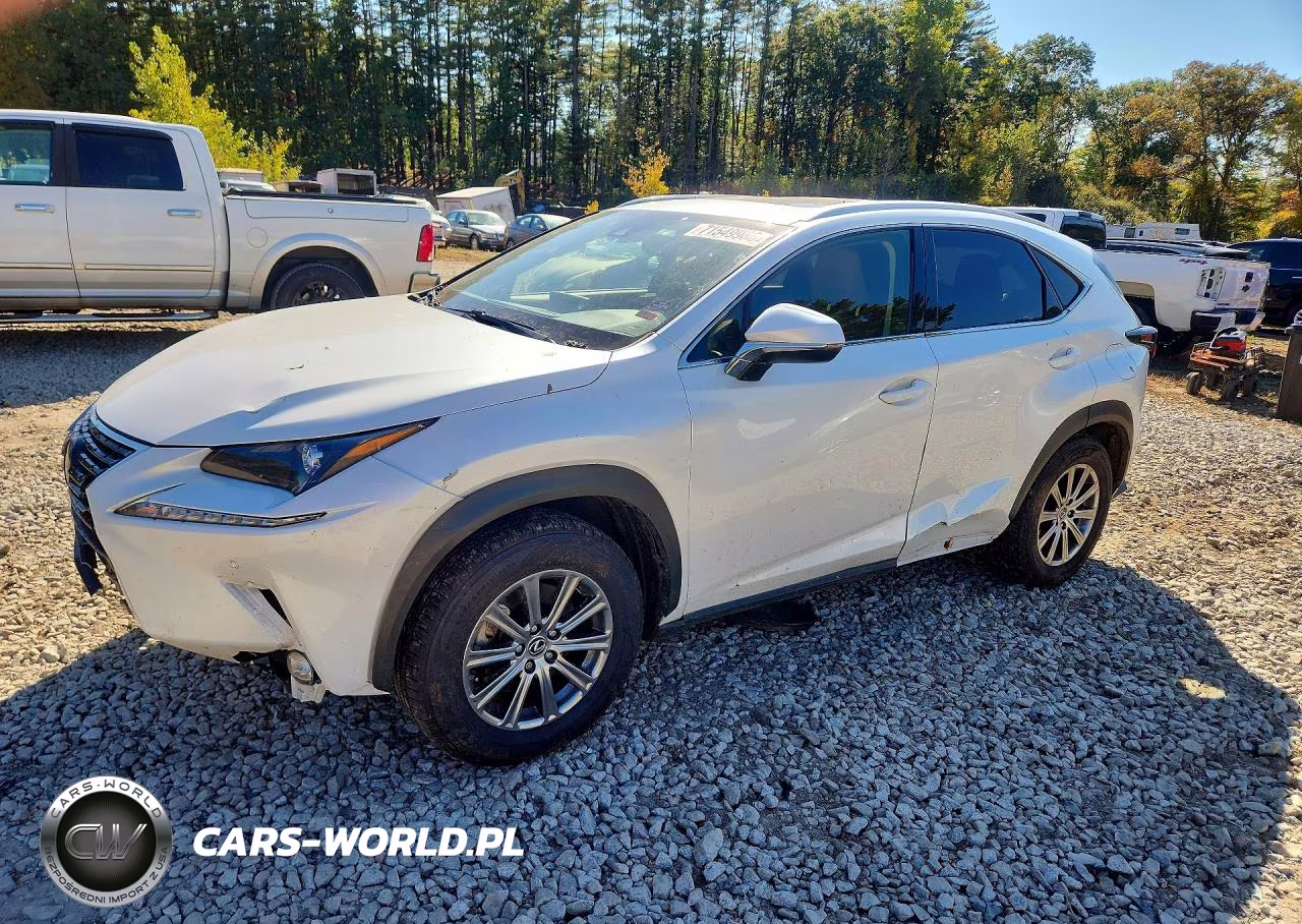 2020 Lexus Nx 300 VIN:JTJDARDZ4L5002608 - 1