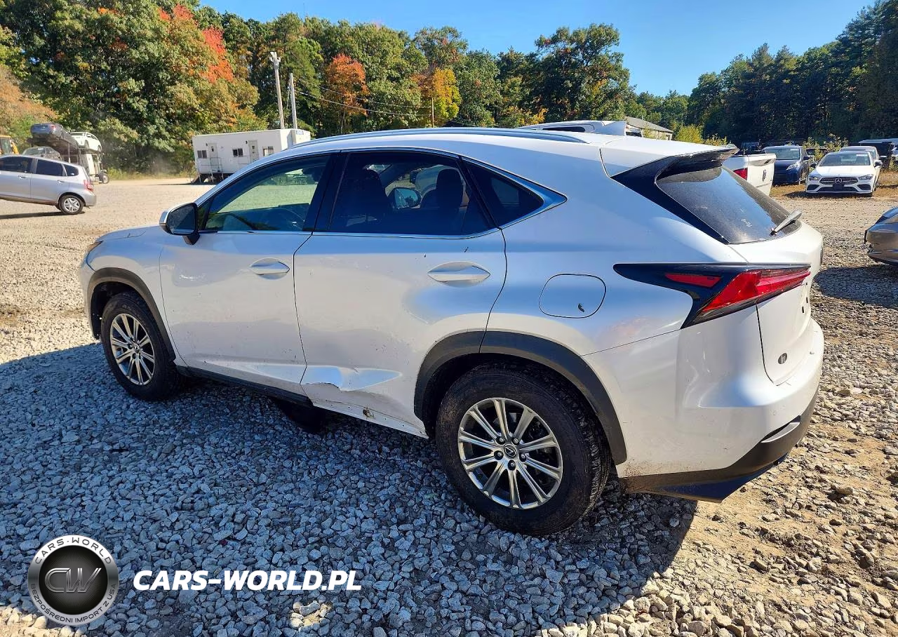 2020 Lexus Nx 300 VIN:JTJDARDZ4L5002608 - 2