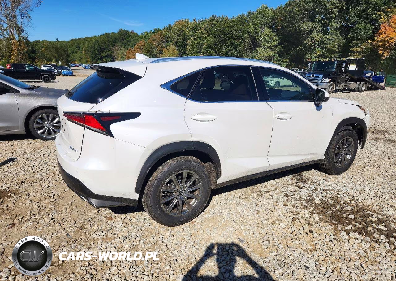 2020 Lexus Nx 300 VIN:JTJDARDZ4L5002608 - 3
