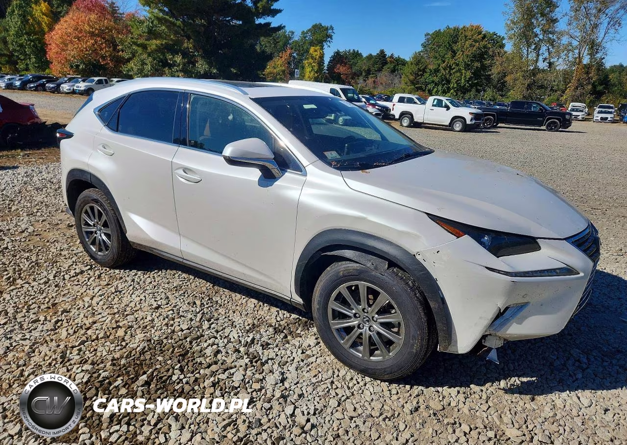 2020 Lexus Nx 300 VIN:JTJDARDZ4L5002608 - 4