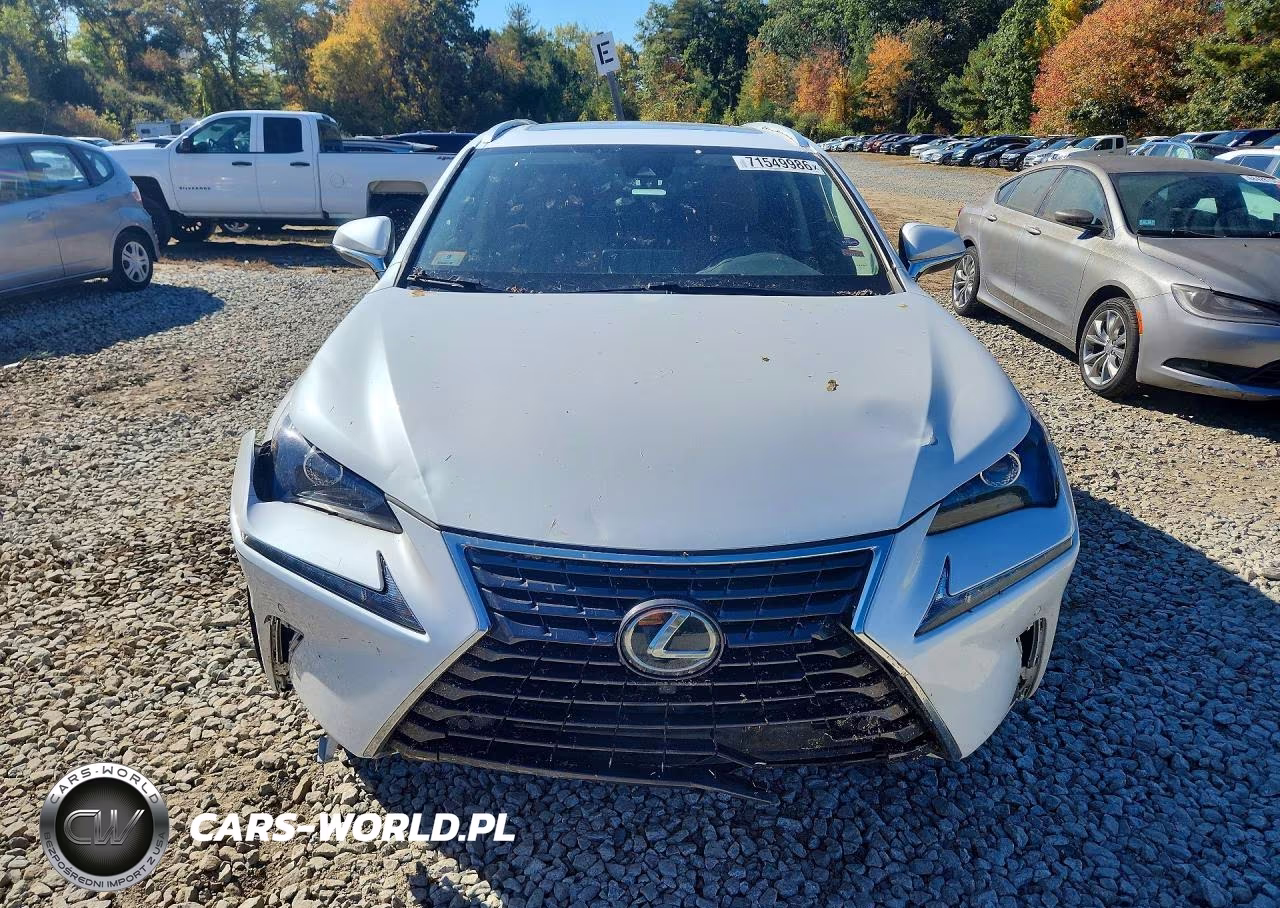 2020 Lexus Nx 300 VIN:JTJDARDZ4L5002608 - 5