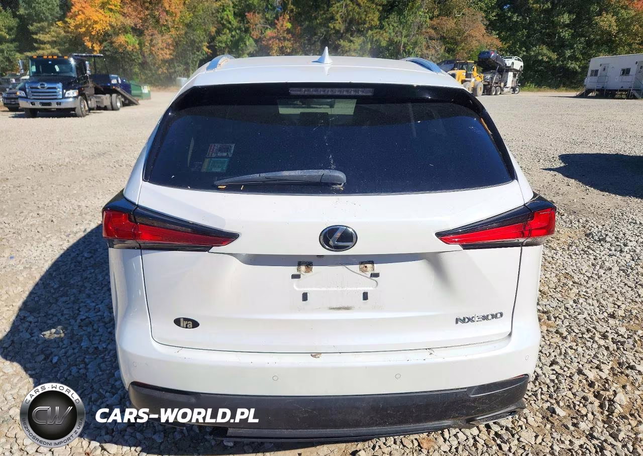 2020 Lexus Nx 300 VIN:JTJDARDZ4L5002608 - 6