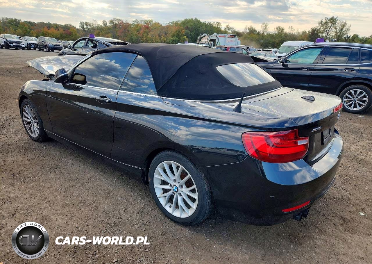 2016 BMW 228 Xi Sulev VIN:WBA1L9C51GV324527 - 2