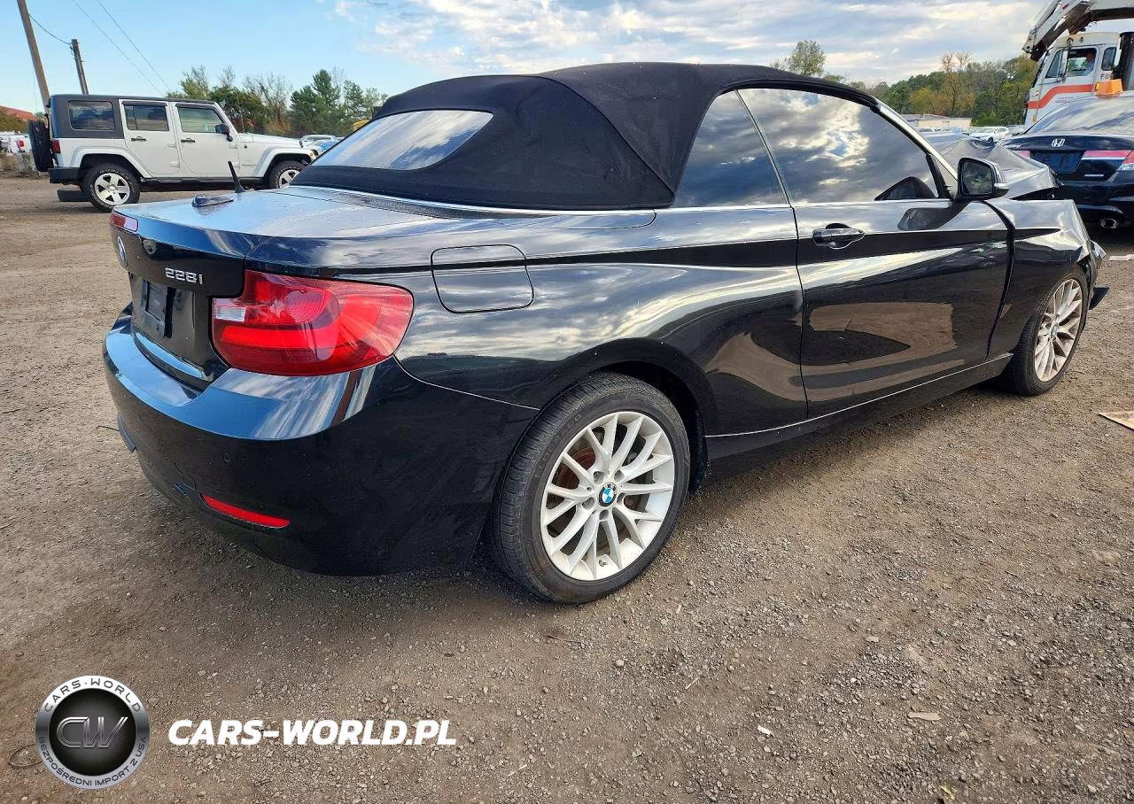 2016 BMW 228 Xi Sulev VIN:WBA1L9C51GV324527 - 3