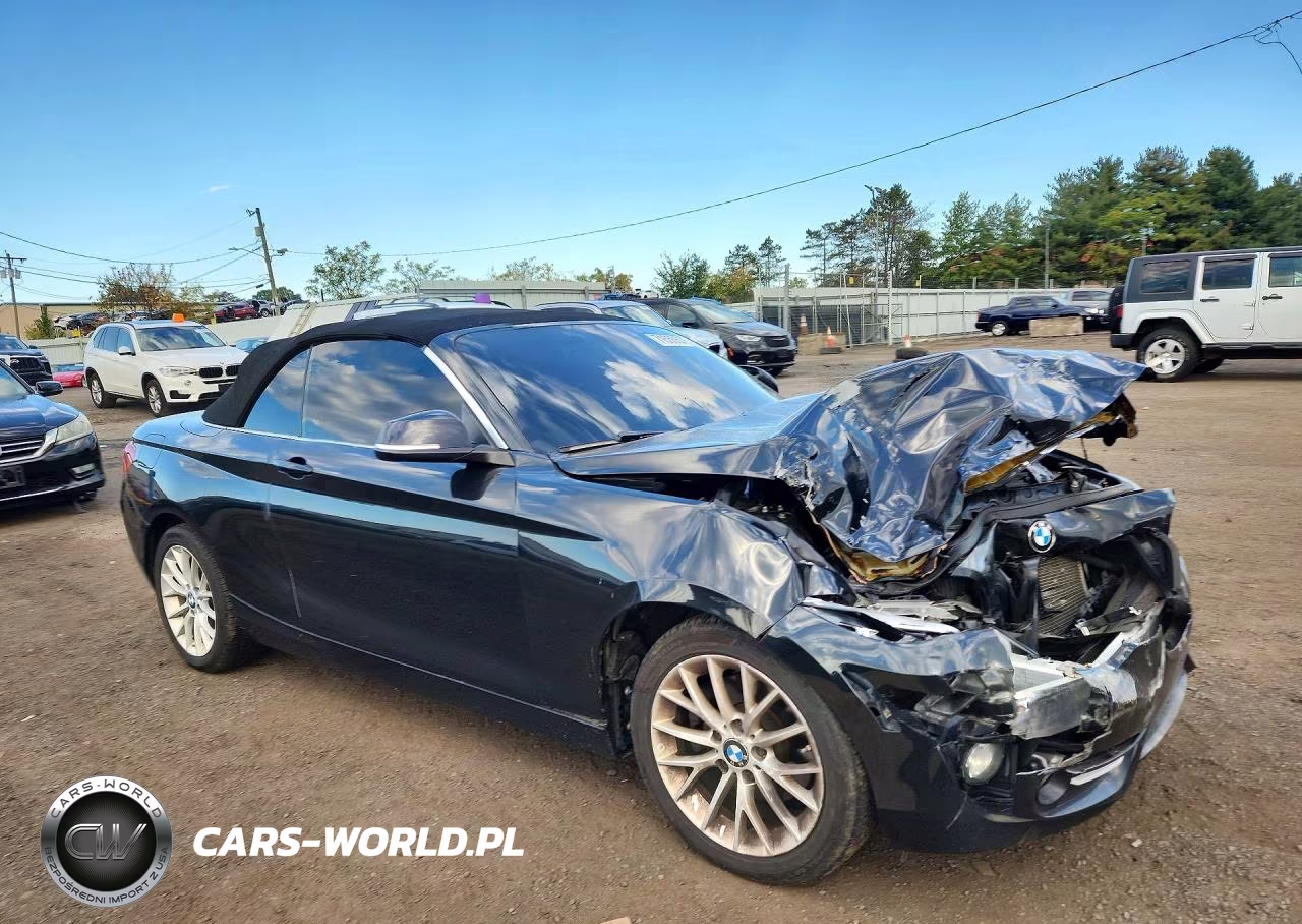 2016 BMW 228 Xi Sulev VIN:WBA1L9C51GV324527 - 4