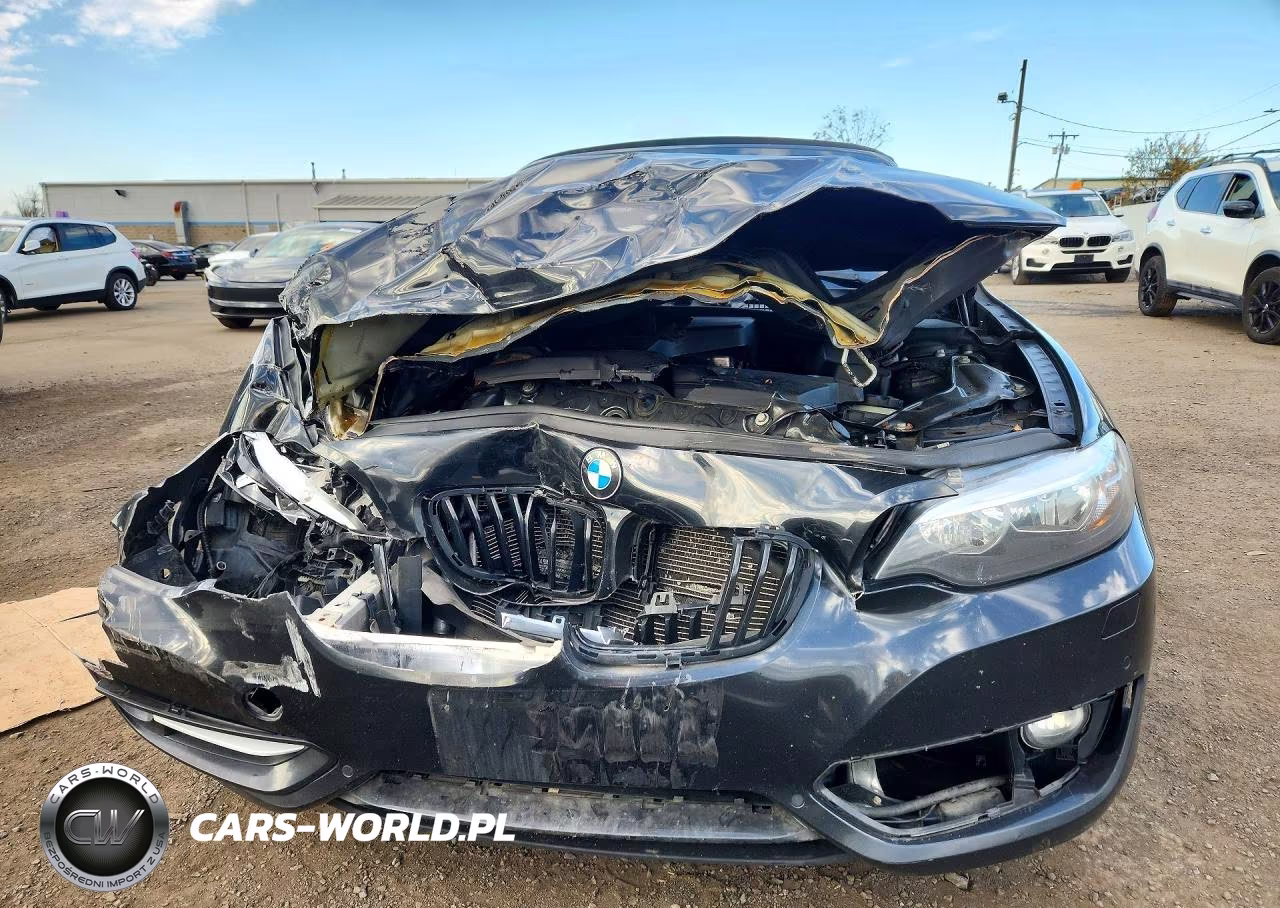 2016 BMW 228 Xi Sulev VIN:WBA1L9C51GV324527 - 5