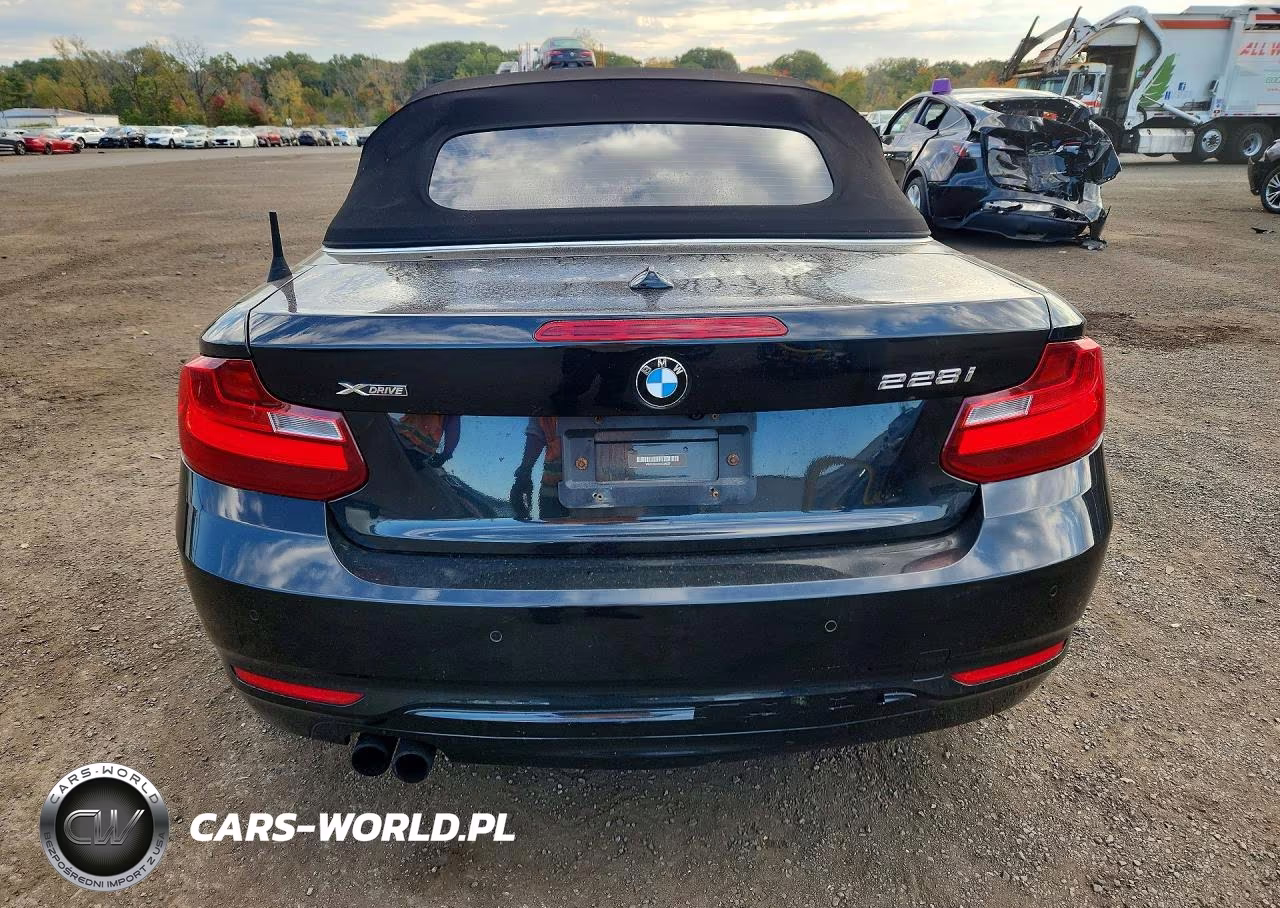 2016 BMW 228 Xi Sulev VIN:WBA1L9C51GV324527 - 6