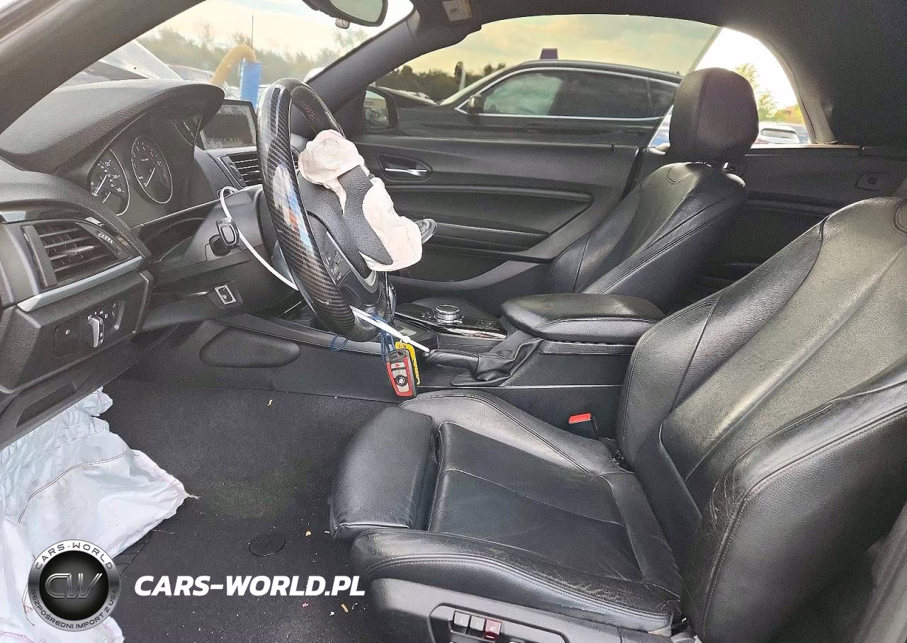 2016 BMW 228 Xi Sulev VIN:WBA1L9C51GV324527 - 7