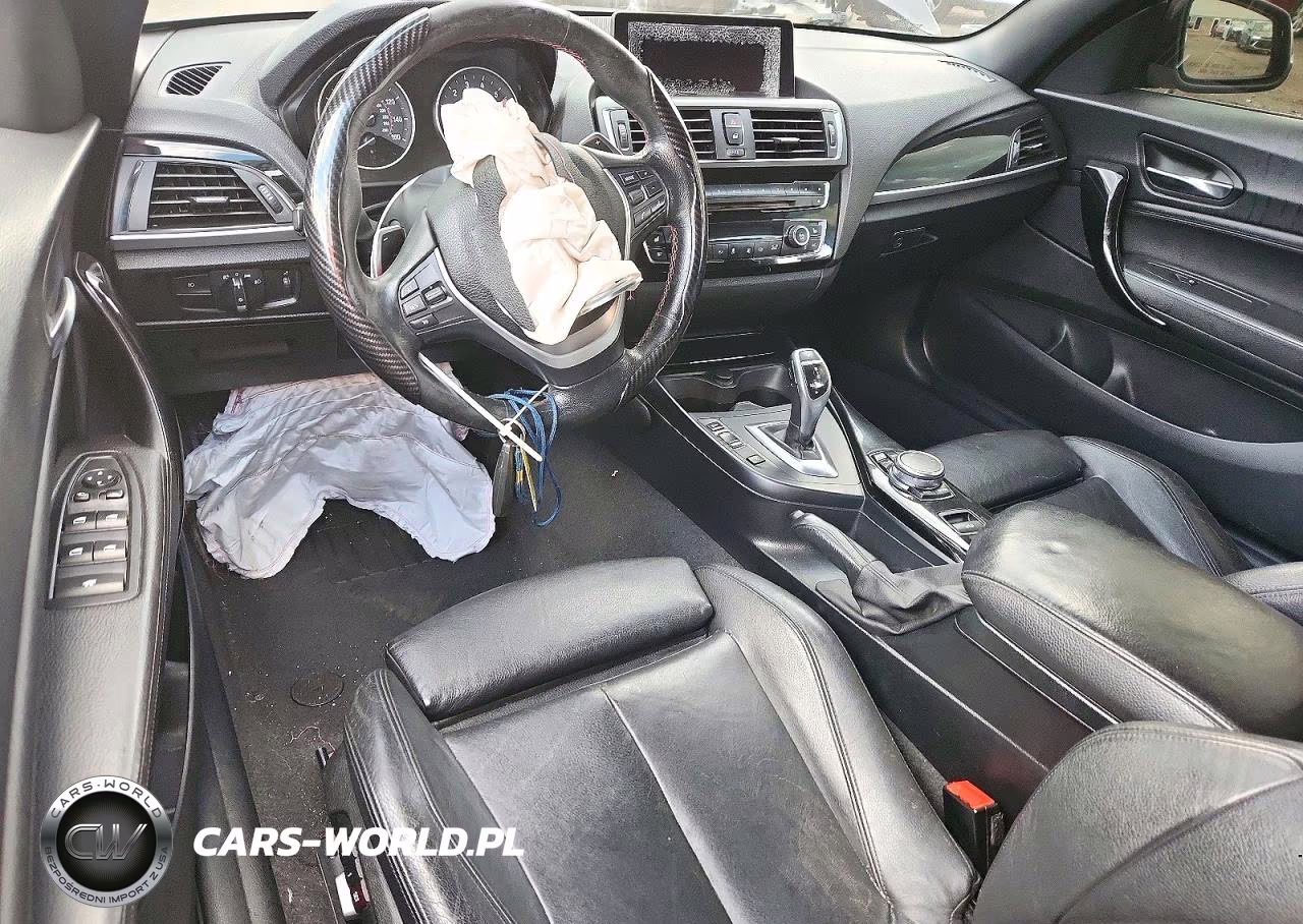 2016 BMW 228 Xi Sulev VIN:WBA1L9C51GV324527 - 8