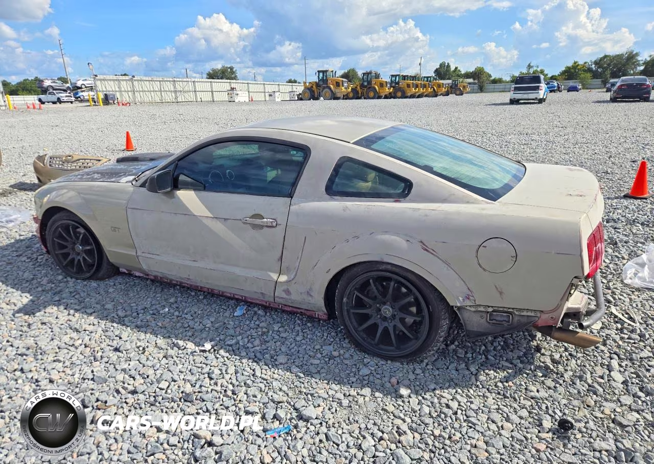 2006 Ford Mustang Gt VIN:1ZVFT82HX65173276 - 2