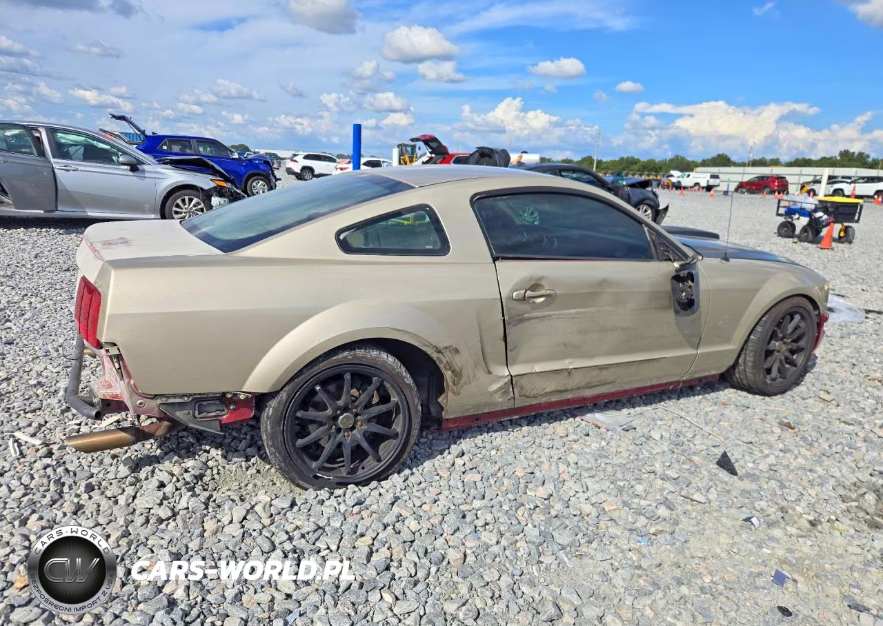 2006 Ford Mustang Gt VIN:1ZVFT82HX65173276 - 3