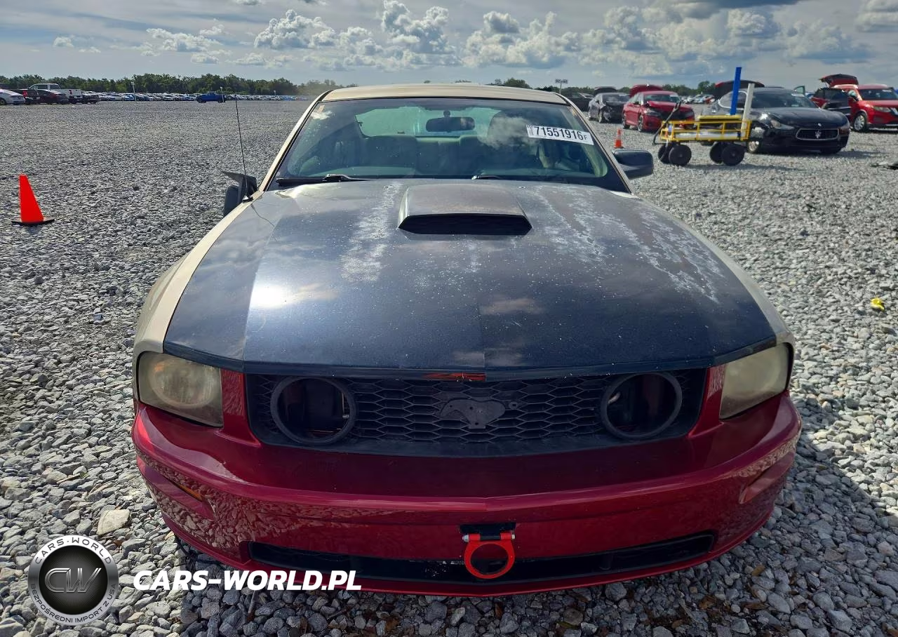 2006 Ford Mustang Gt VIN:1ZVFT82HX65173276 - 5