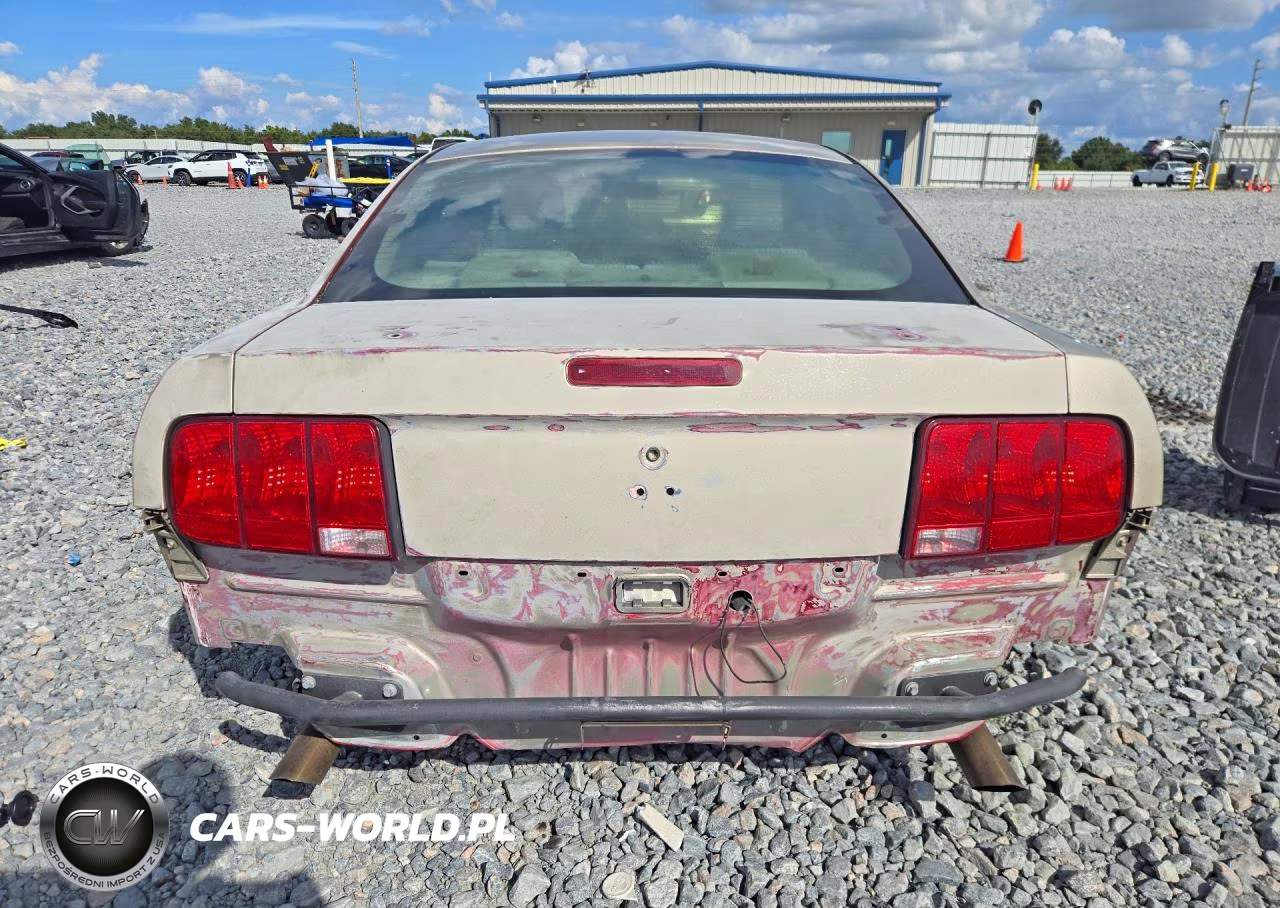 2006 Ford Mustang Gt VIN:1ZVFT82HX65173276 - 6