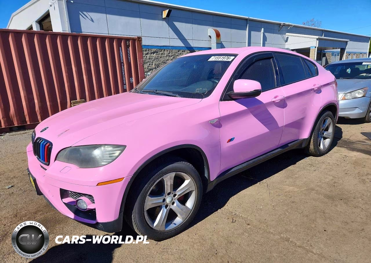 2010 BMW X6 xDrive50I