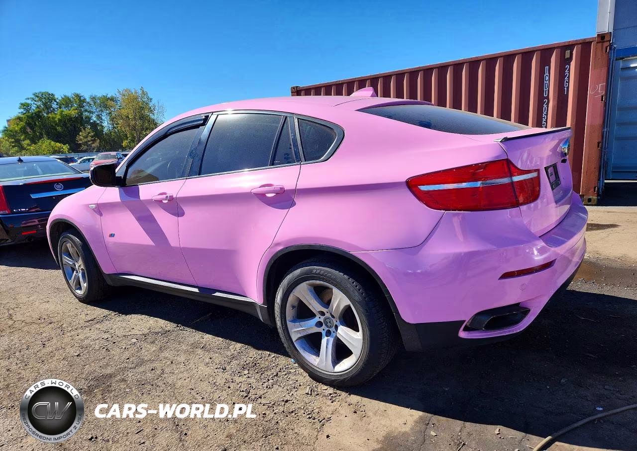 2010 BMW X6 xDrive50I VIN:5UXFG8C59ALZ94383 - 2