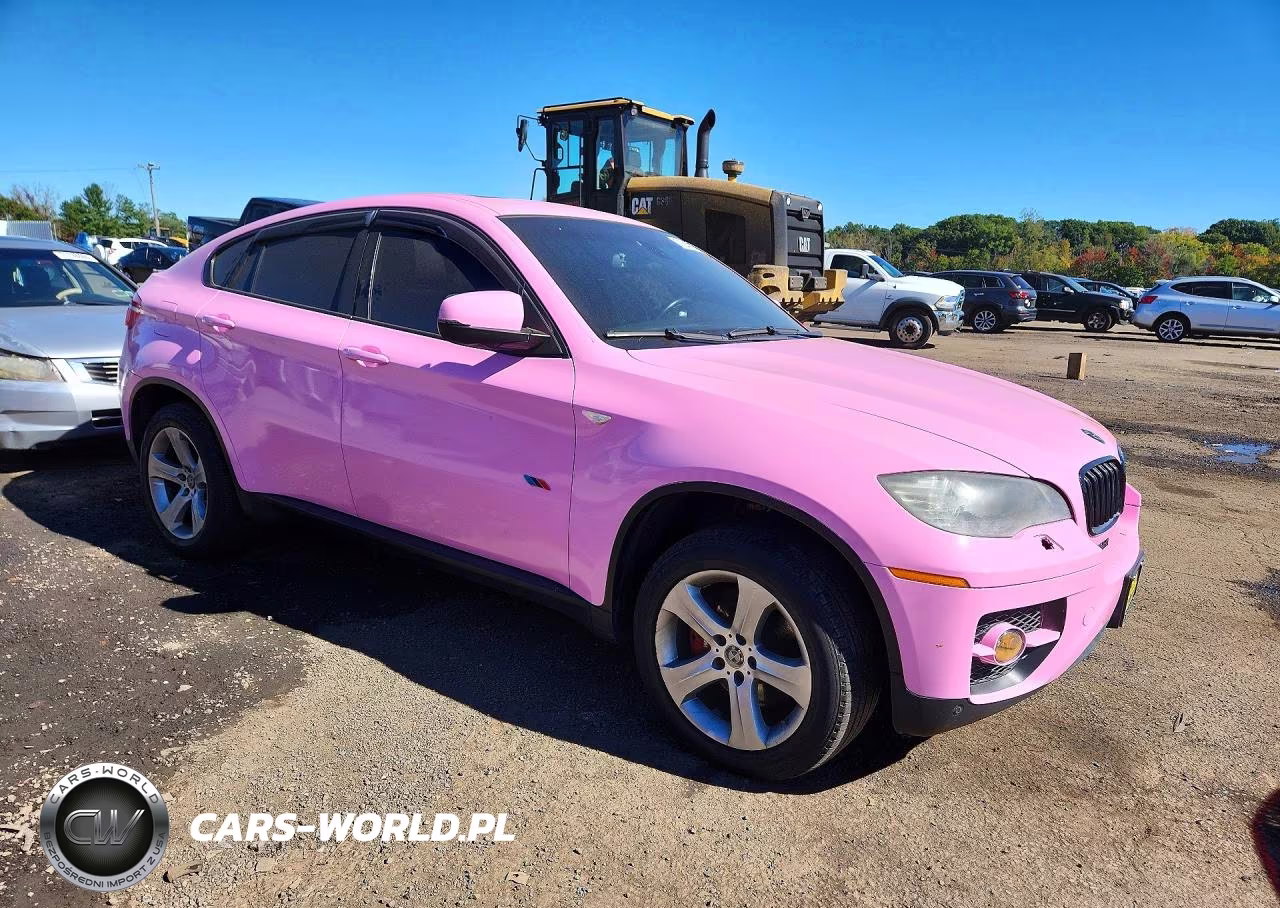 2010 BMW X6 xDrive50I VIN:5UXFG8C59ALZ94383 - 4