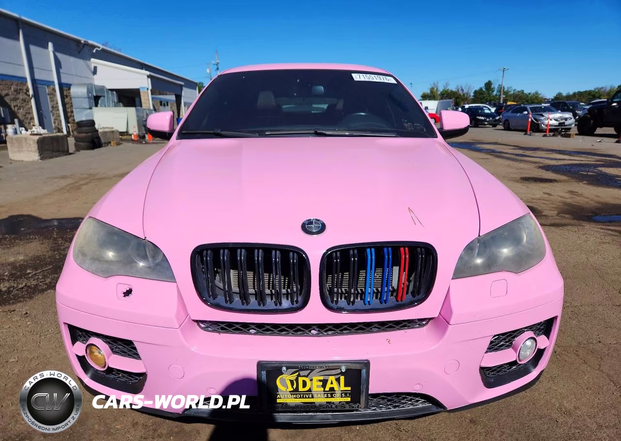 2010 BMW X6 xDrive50I VIN:5UXFG8C59ALZ94383 - 5