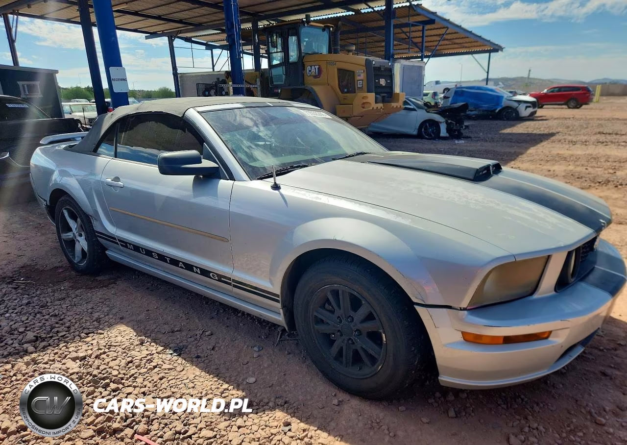 2005 Ford Mustang VIN:1ZVFT84NX55213728 - 4